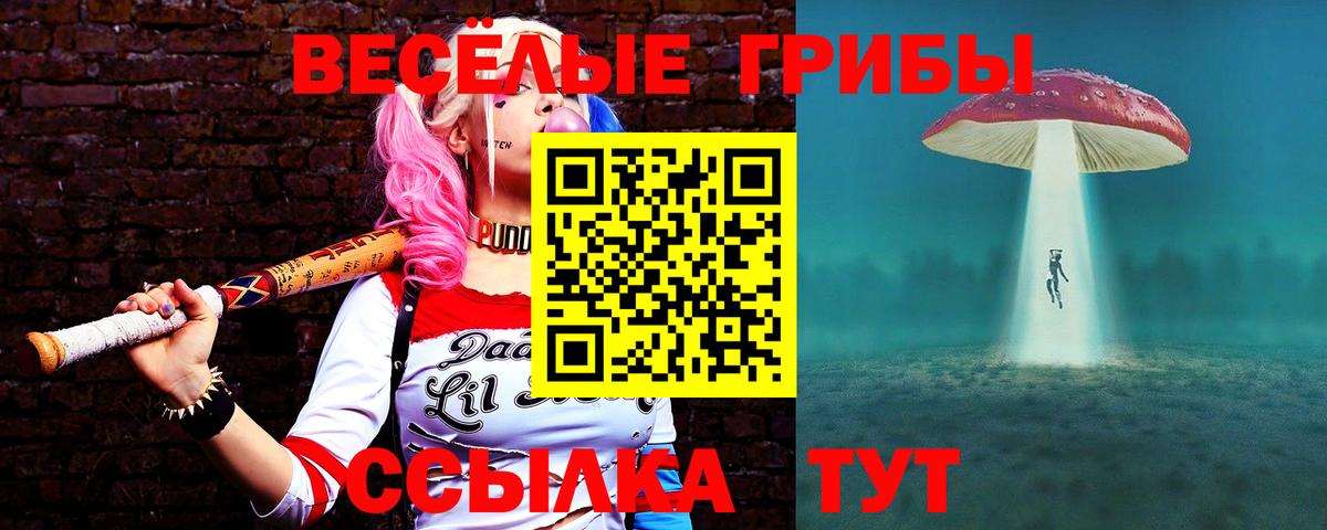 Псилоцибиновые грибы мицелий  Вход с VPN  Новозыбков 