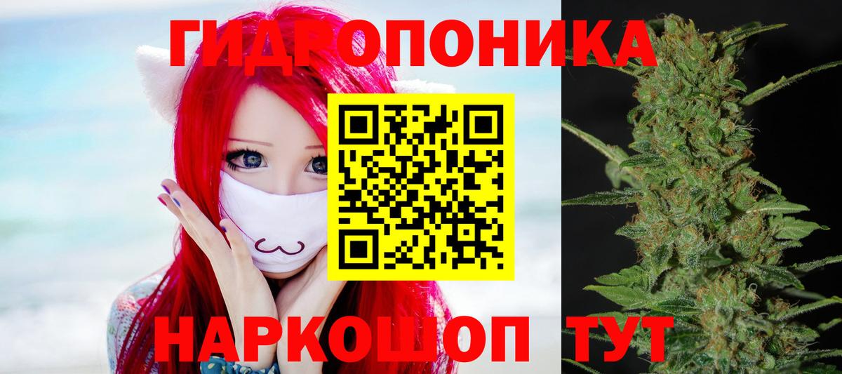 Конопля SATIVA & INDICA  Бошки Шишки ГИДРОПОН  Новозыбков  Конопля тримм  Вход с VPN  Конопля гибрид 